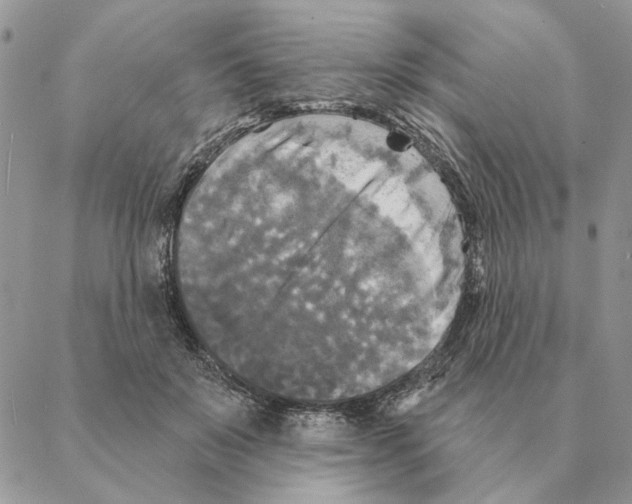 X0000088220503200706121834