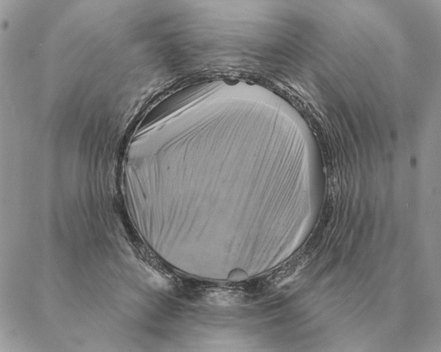 X0000088220504200706121834