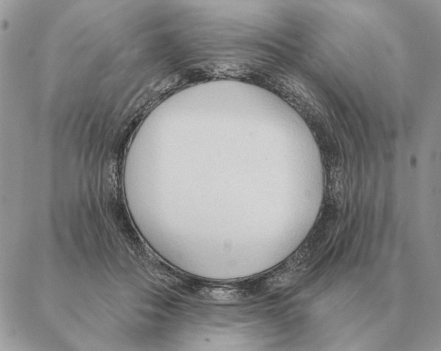 X0000088220506200706121834