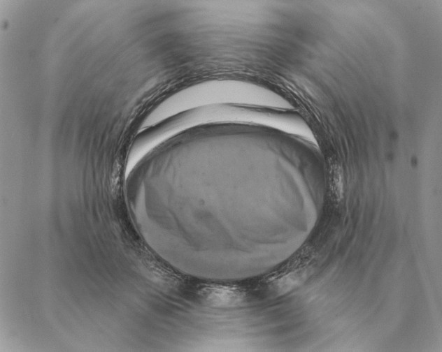X0000088220507200706121834