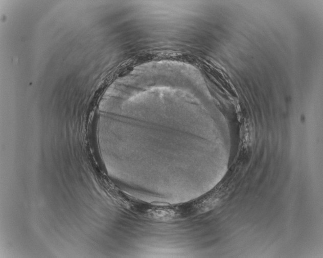 X0000088220512200706121834