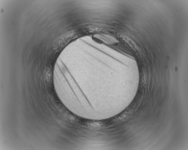 X0000088220513200706121834