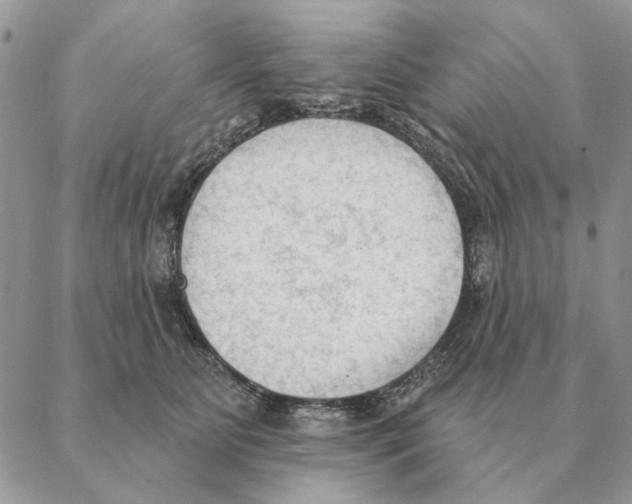 X0000088220515200706121834