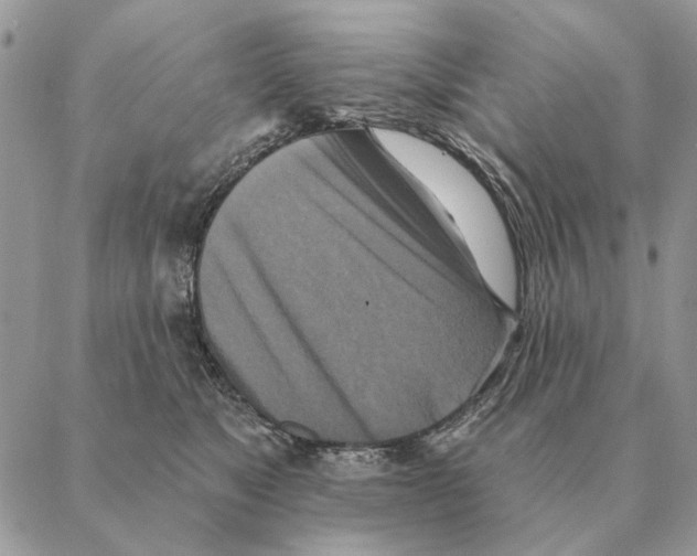 X0000088220517200706121834