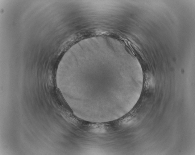X0000088220524200706121833