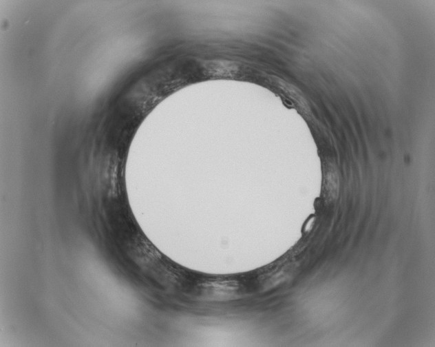 X0000088220525200706121833