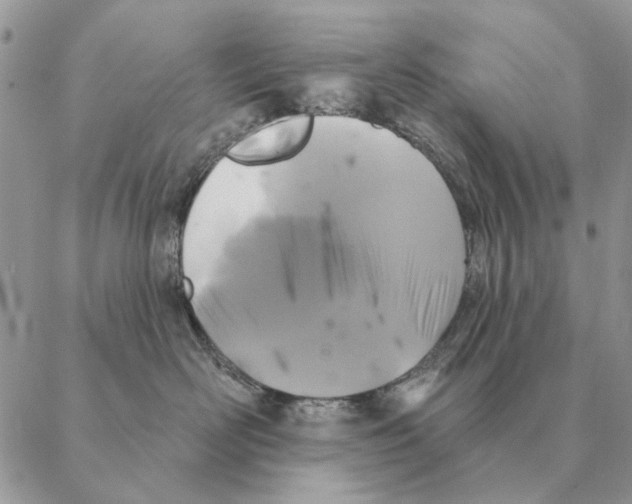 X0000088220526200706121833