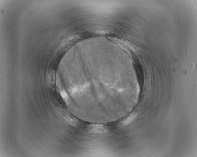 X0000088220528200706121833