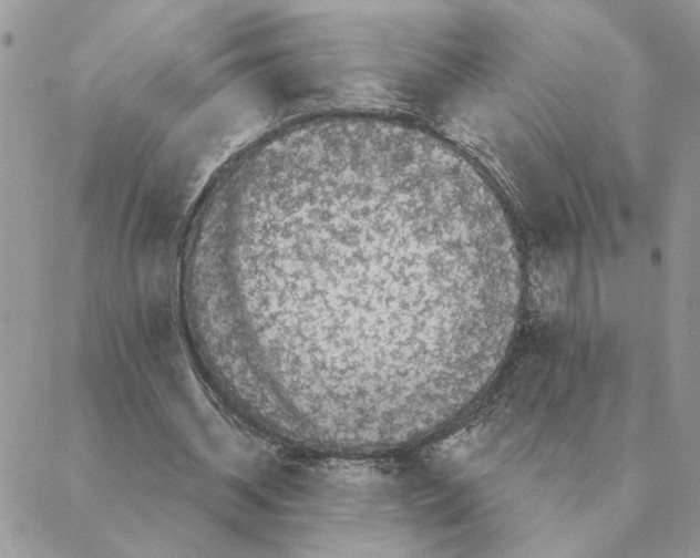 X0000088220534200706121833