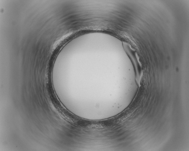 X0000088220536200706121833