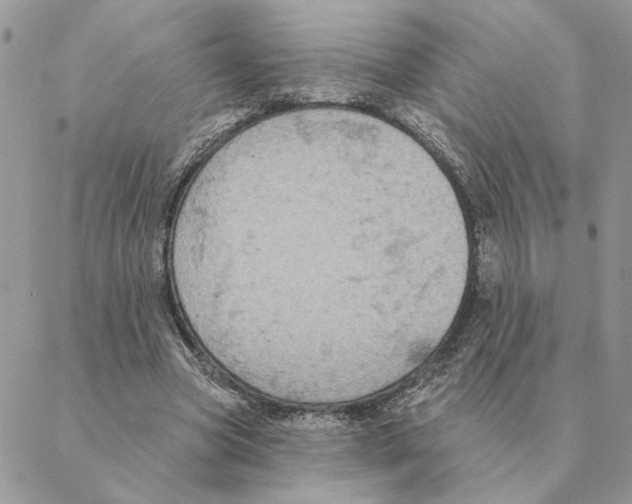 X0000088220537200706121833