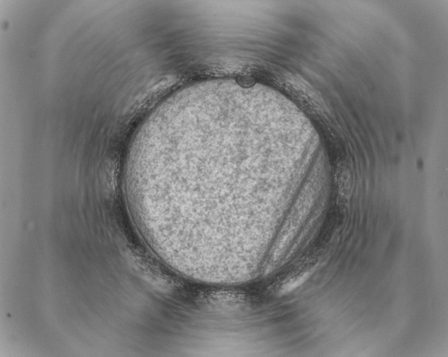 X0000088220546200706121833