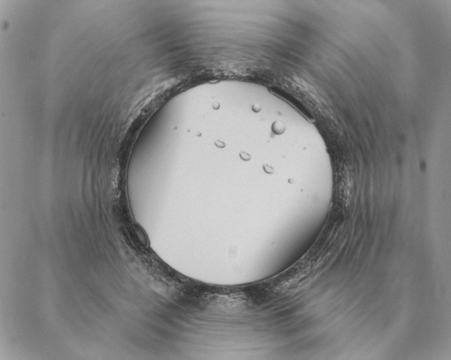 X0000088220548200706121833