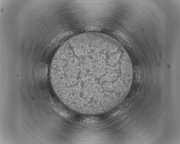 X0000088220550200706121833