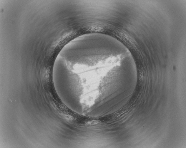 X0000088220551200706121833