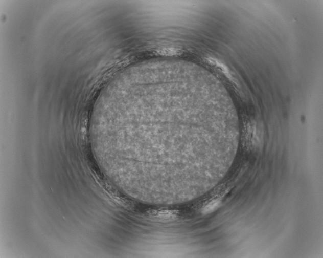 X0000088220553200706121833
