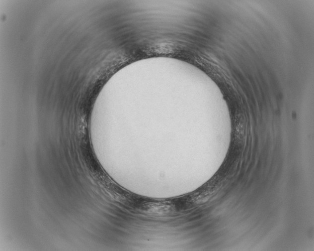 X0000088220555200706121833