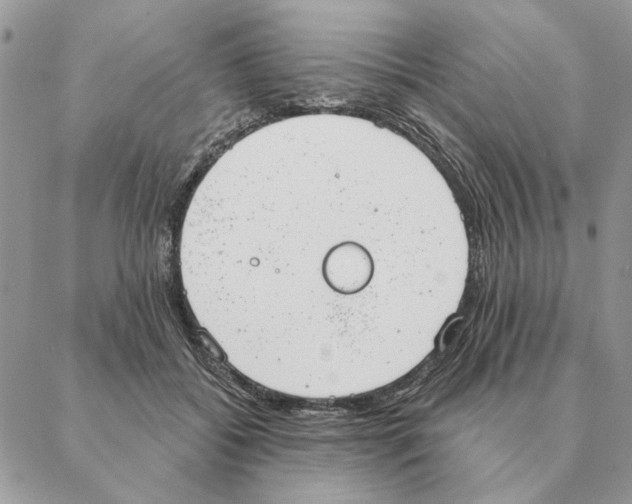 X0000088220556200706121833