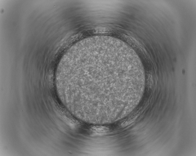 X0000088220557200706121833