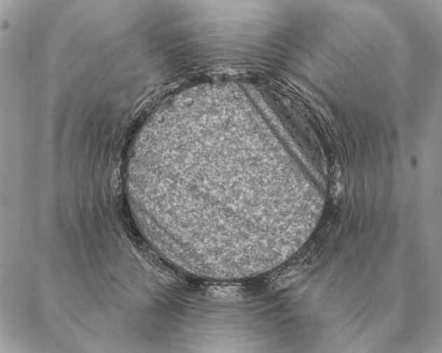 X0000088220560200706121833
