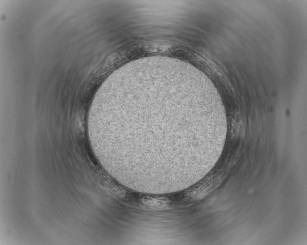 X0000088220561200706121833