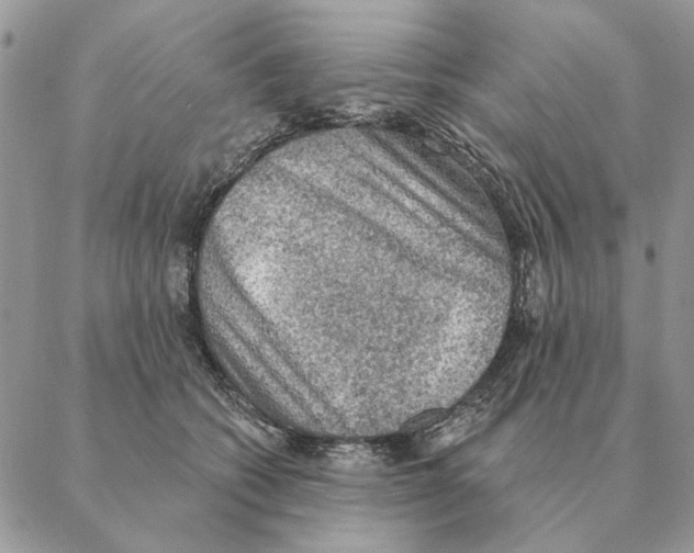 X0000088220562200706121833