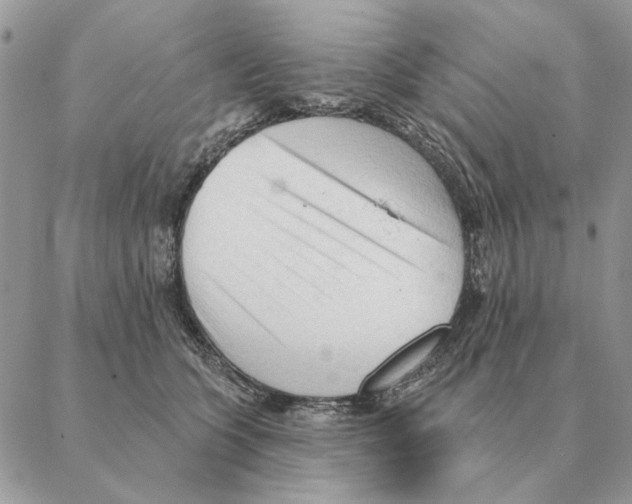 X0000088220563200706121833