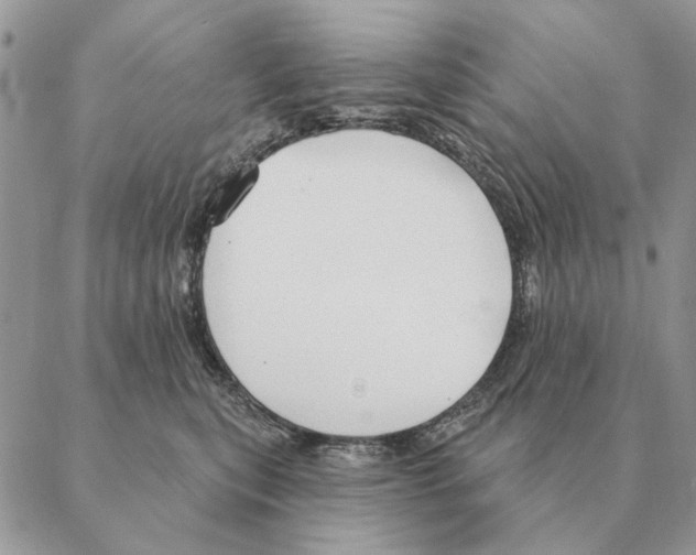 X0000088220567200706121833