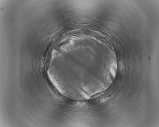 X0000088220570200706121833
