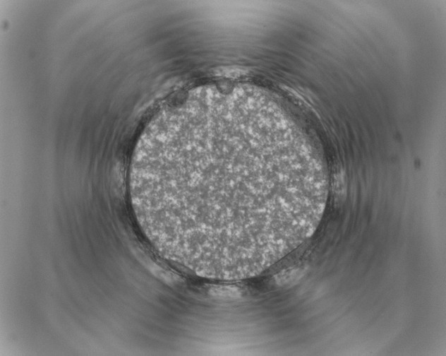 X0000088220572200706121833