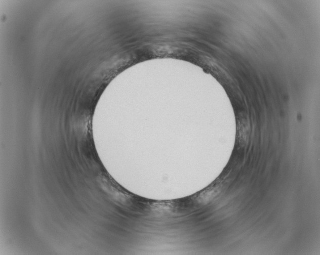 X0000088220574200706121833