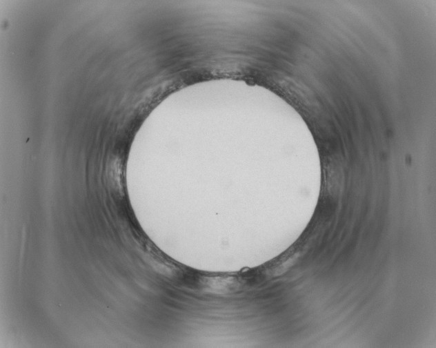X0000088220575200706121833