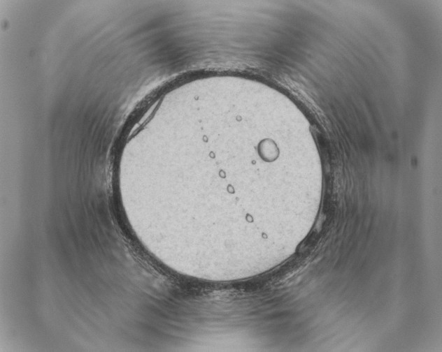 X0000088220584200706121833