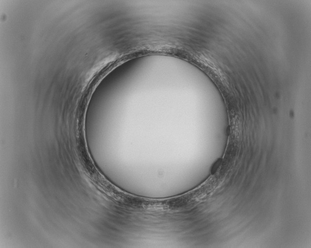 X0000088220587200706121832