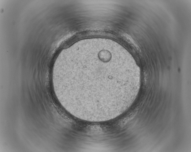 X0000088220588200706121832