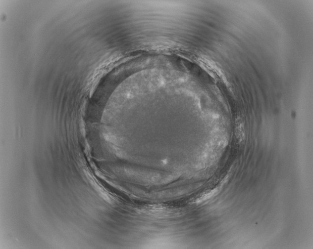 X0000088220589200706121832