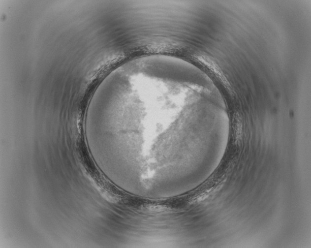 X0000088220590200706121832