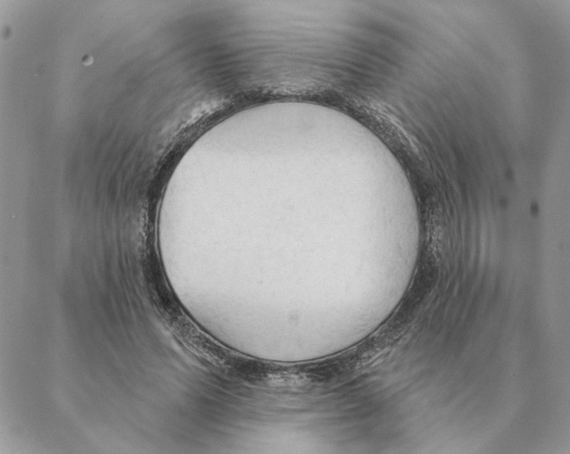 X0000088220591200706121832