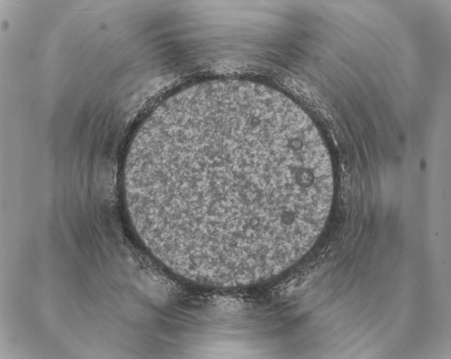 X0000088220592200706121832