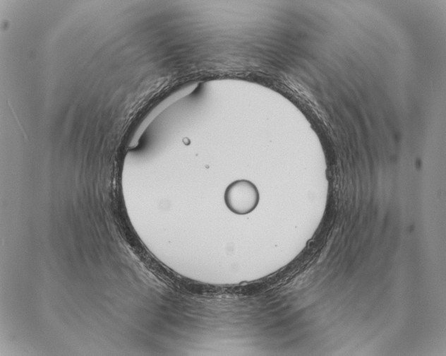 X0000088220593200706121832