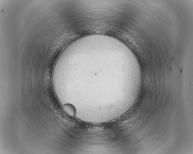 X0000088220594200706121832