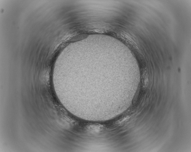 X0000088220595200706121832