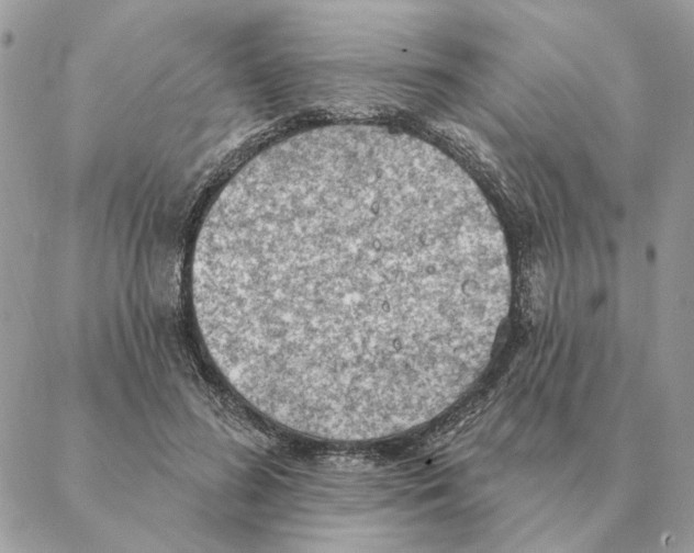 X0000088220596200706121832