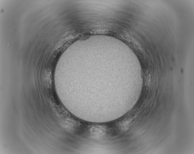 X0000088220599200706121832