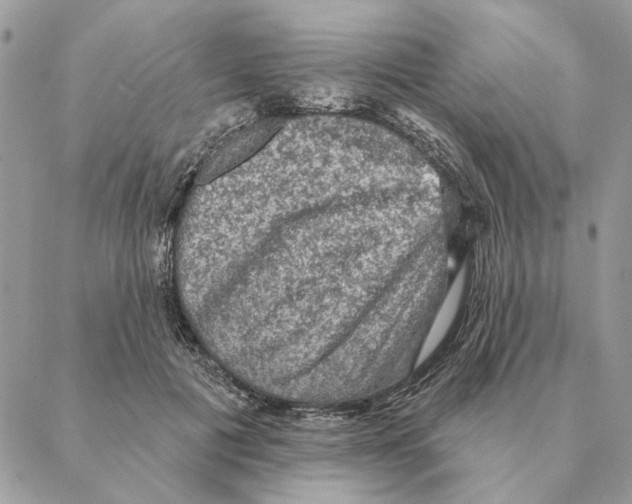 X0000088220601200706121832