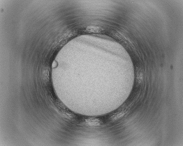 X0000088220603200706121832