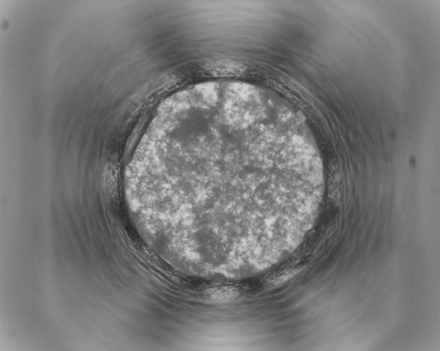 X0000088220604200706121832