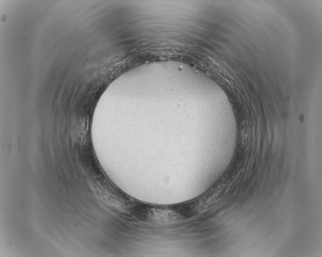 X0000088220605200706121832