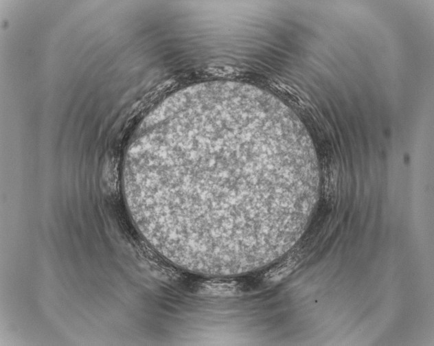 X0000088220606200706121832