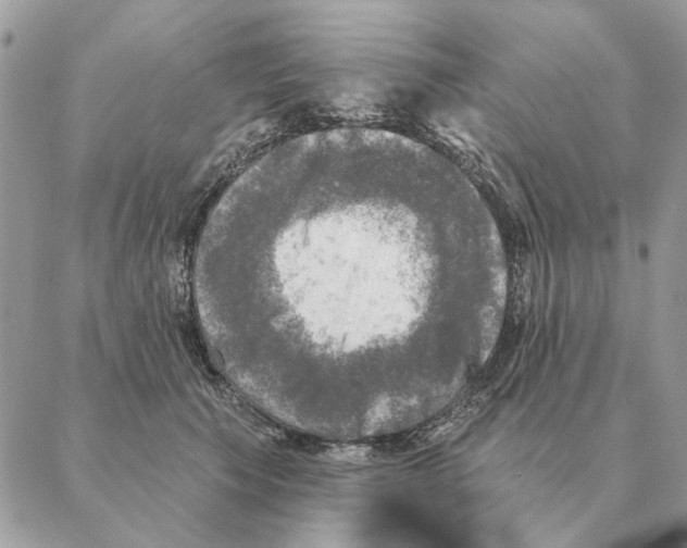 X0000088220609200706121832